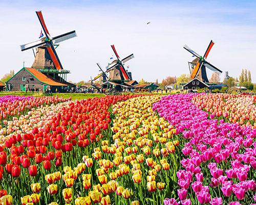 netherlands holland group travel