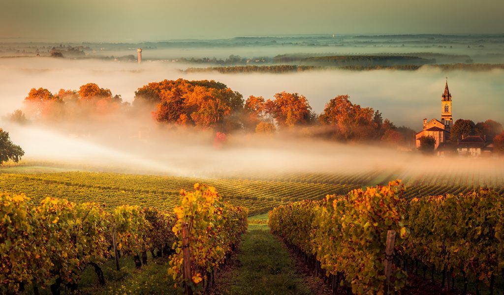 bordeaux france wine group travel
