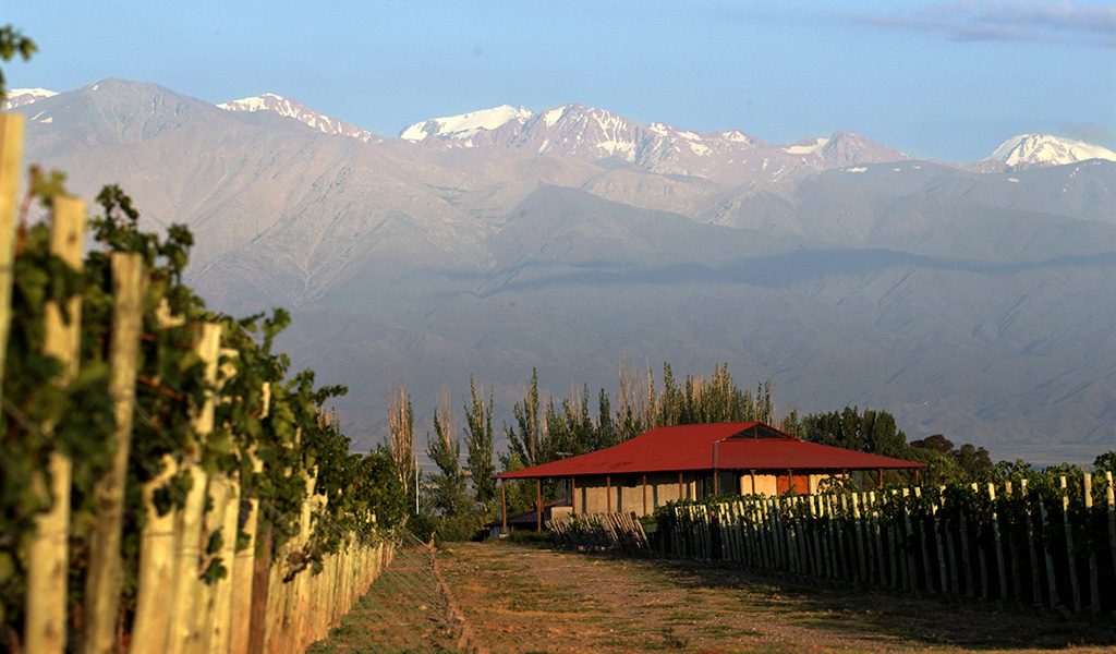 Mendoza (1) 1024x600