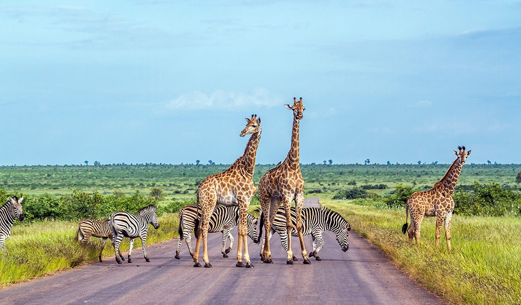group travel south africa