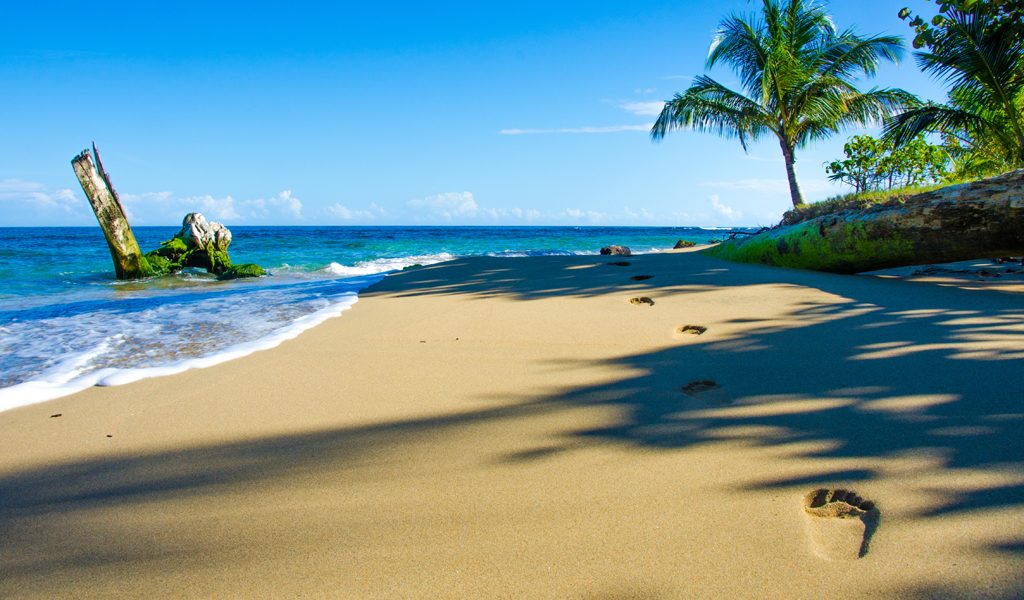beach shutterstock_170060915 1024x600