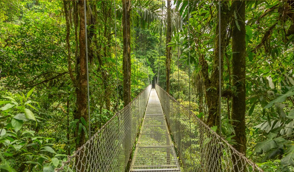 Suspended bridge at natural rainforest park, Costa Rica
