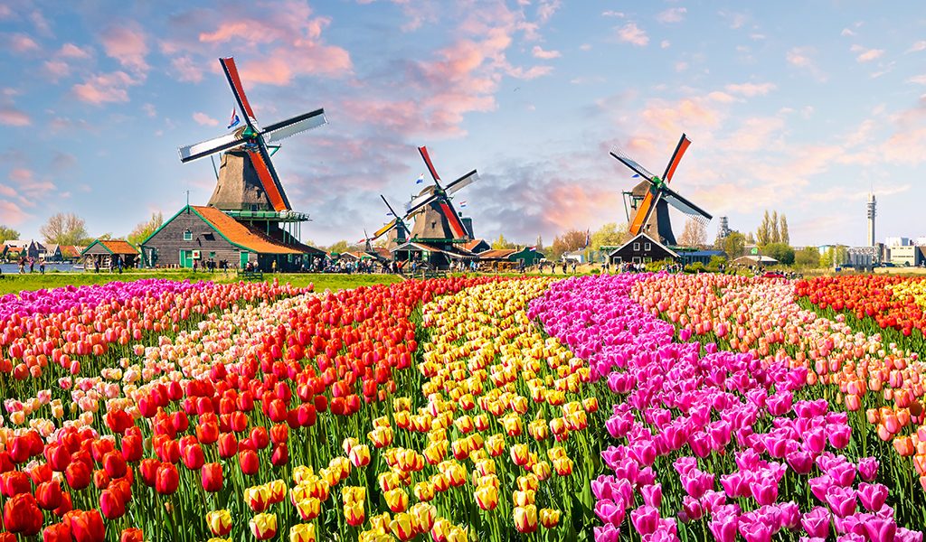 netherlands group travel